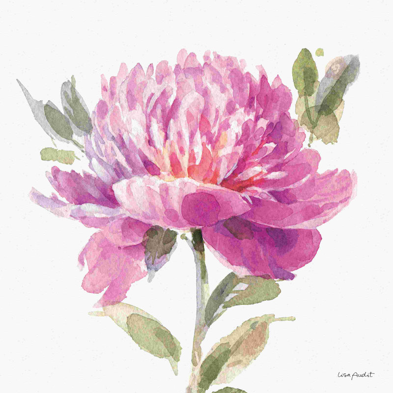 De toute évidence rose 05A, H 12 po x l 12 po