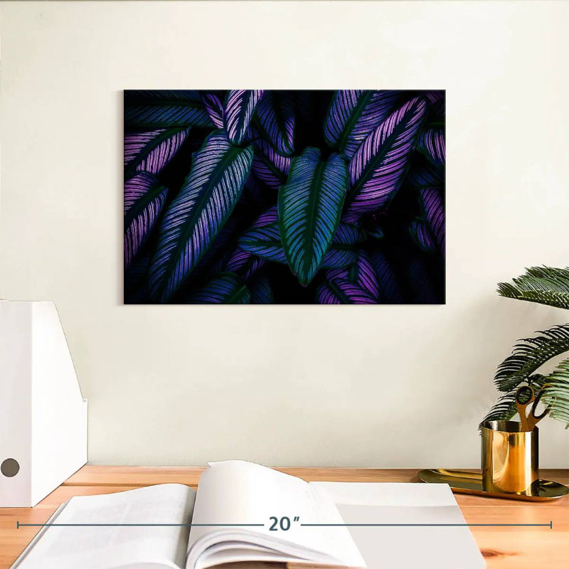 Feuilles Harnek fluorescentes, H 8 po x l 12 po