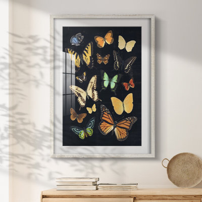 Benno -Gallery Wrapped Canvas