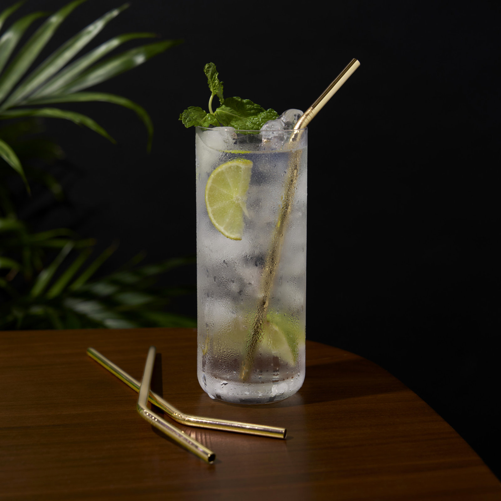 Belmont Reusable Straws