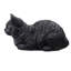 Chat tigré noir au repos-126248605