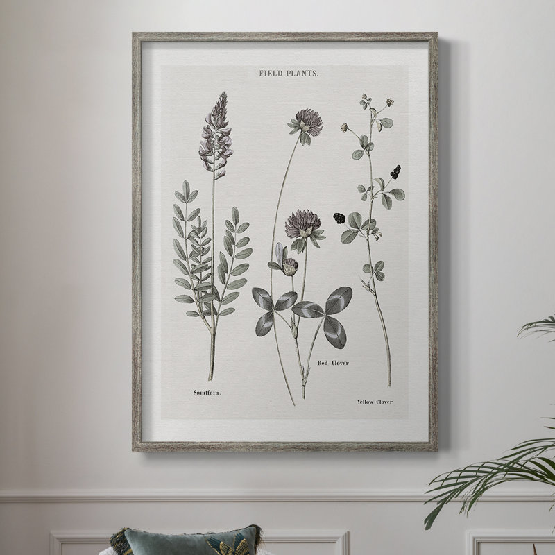 Multi Botanical II Framed Print - Solid Wood 48180, 11" H x 9" W