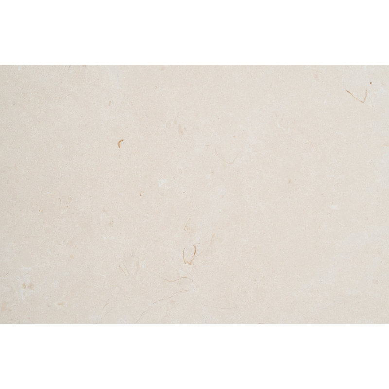 24" x 24" Marble Wall & Floor Tile, Biancone
