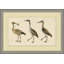 Coastal Birds 1 Print