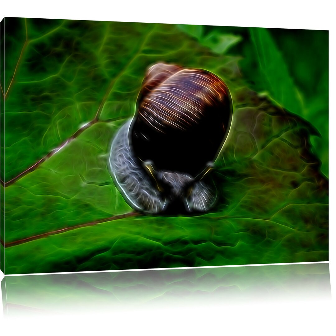 Leinwandbild Kleine Schnecke mit Schneckenhaus in Dunkelgrün/Dunkelbraun/Grau