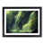 Black Framed selected