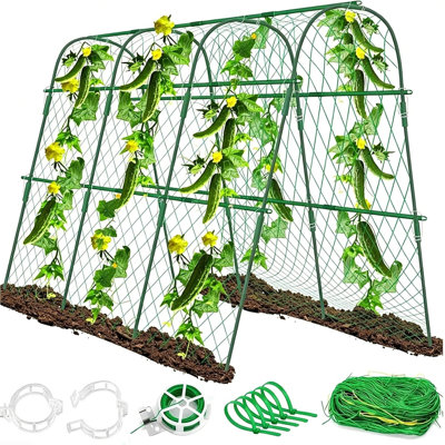Trellis 1.2 H x 1.6 W