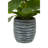 45cm Faux Ficus Tree in Ceramic Pot