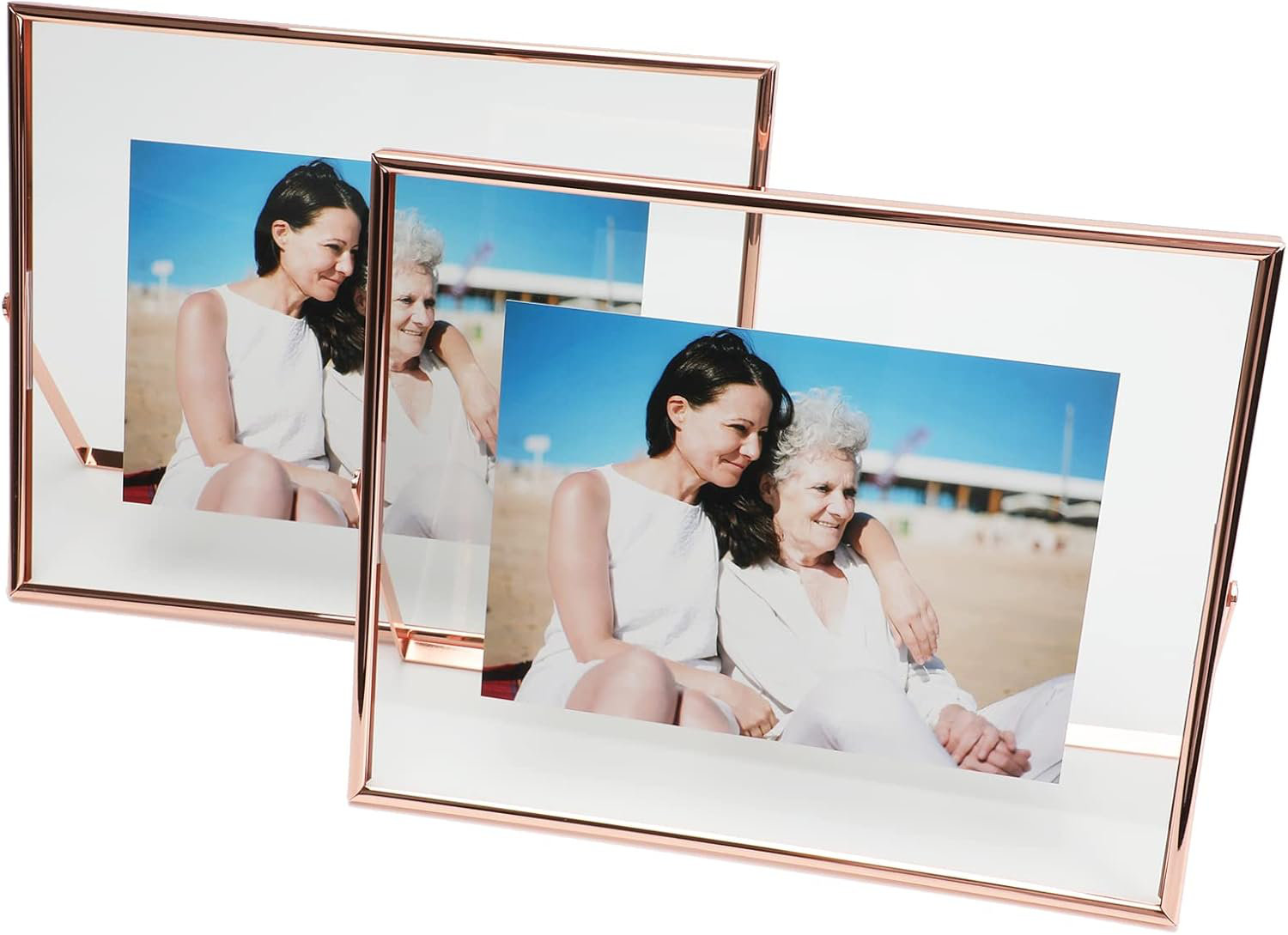 Everly Quinn Set Of 2 Rose Gold Floating Frames (8x10) | Wayfair