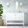 Krish 48'' Single Bathroom Vanity with Engineered Marble Top