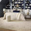 Riviera Hand Knotted Moroccan Area Rug in Cream, Gray, Pale Blue-375345770