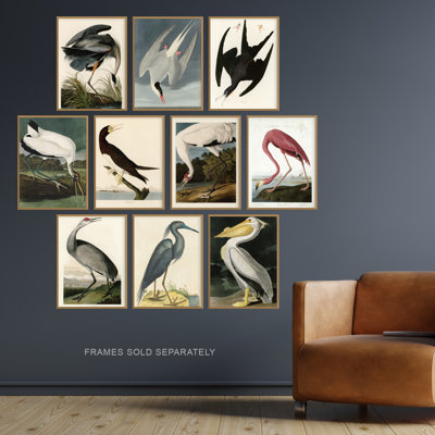 Vintage Audubon Birds Flamingo Pelican Heron 10-Piece Set Unframed Wall Art Prints Bathroom Bedroom Aesthetic Avian