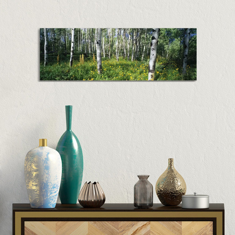 Field Of Rocky Mountain Aspens - Wrapped Canvas Panoramic Print, 30.48 cm H x 91.44 cm W x 1.91 cm D