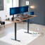 Bureau debout à deux moteurs Vivo Electric-1393912248-1393912252-1384619862