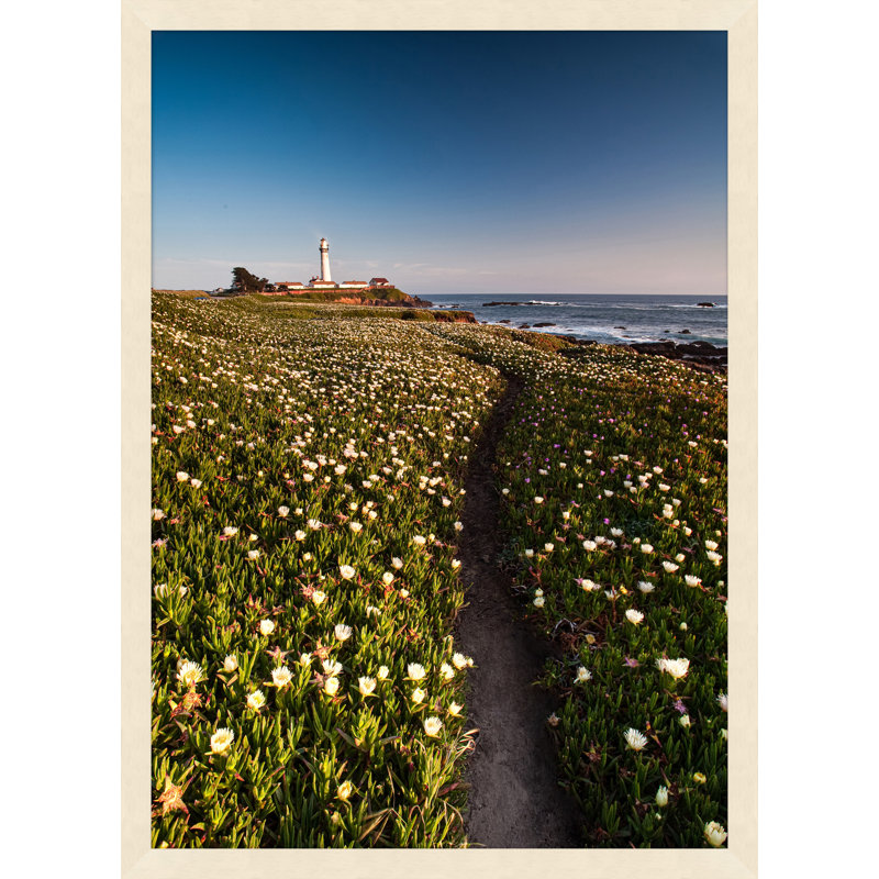 Pigeon Point Lighthouse Print by Nathan Turner
