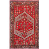 Oriental Area Rug in Rust