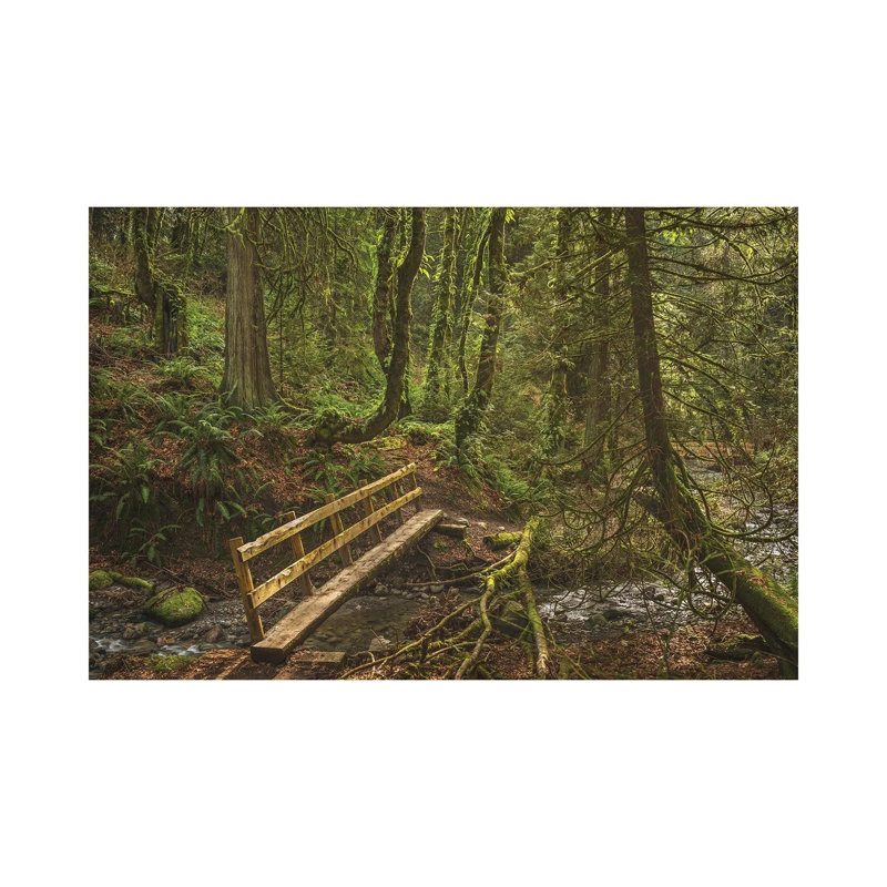 Let the Light in 1 Piece Wrapped Canvas Wall Art, 66.04cm H x 101.6cm Wx 1.905cm D