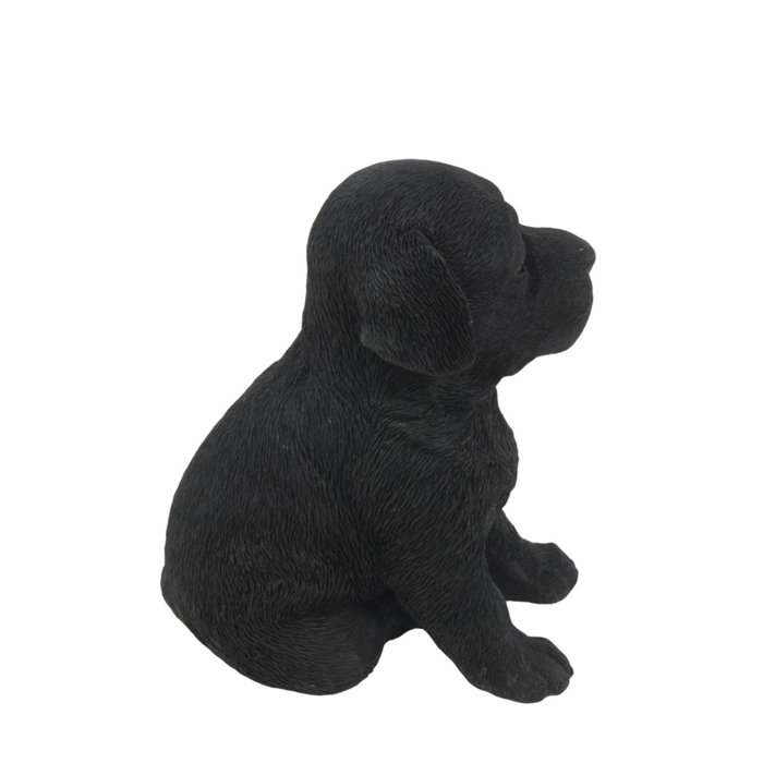 Hi-Line Gift Ltd. Black Labrador Puppy Statue & Reviews | Wayfair