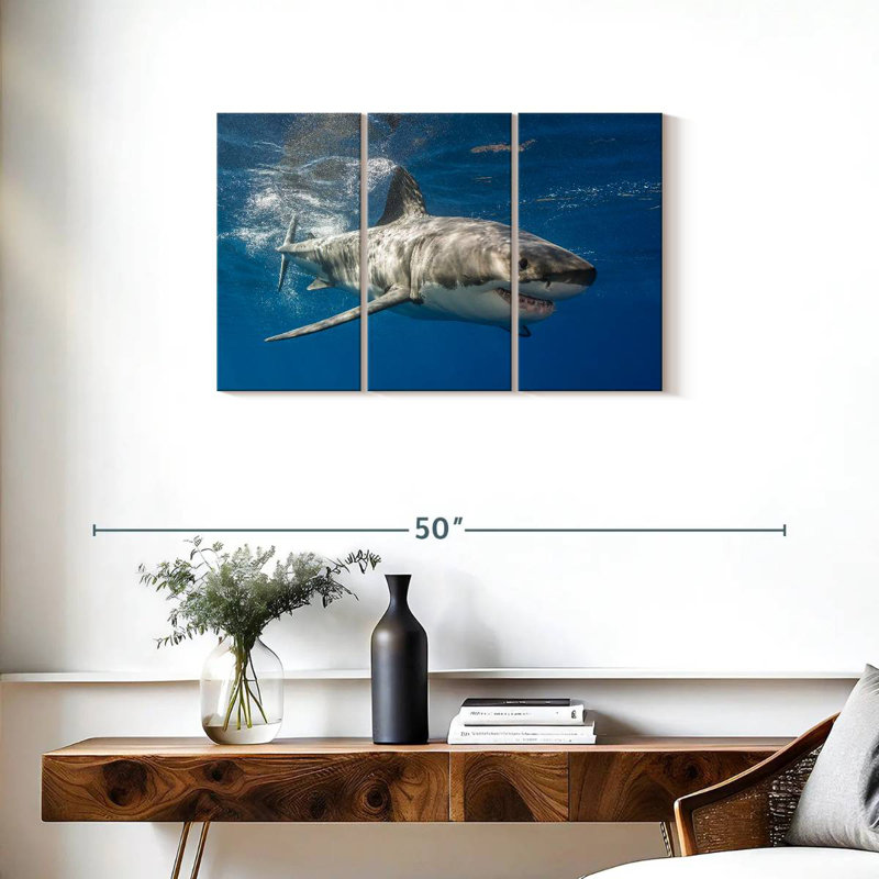 Requin, H 20 po x l 33 po