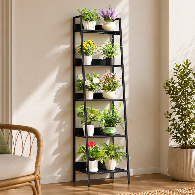 5-Tier Trapezoidal Bookshelf with Lighting and Touch Slider Control, Black