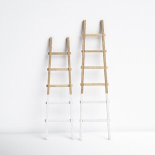 https://assets.wfcdn.com/im/13442184/resize-h310-w310%5Ecompr-r85/1652/165230949/blanket-ladder.jpg