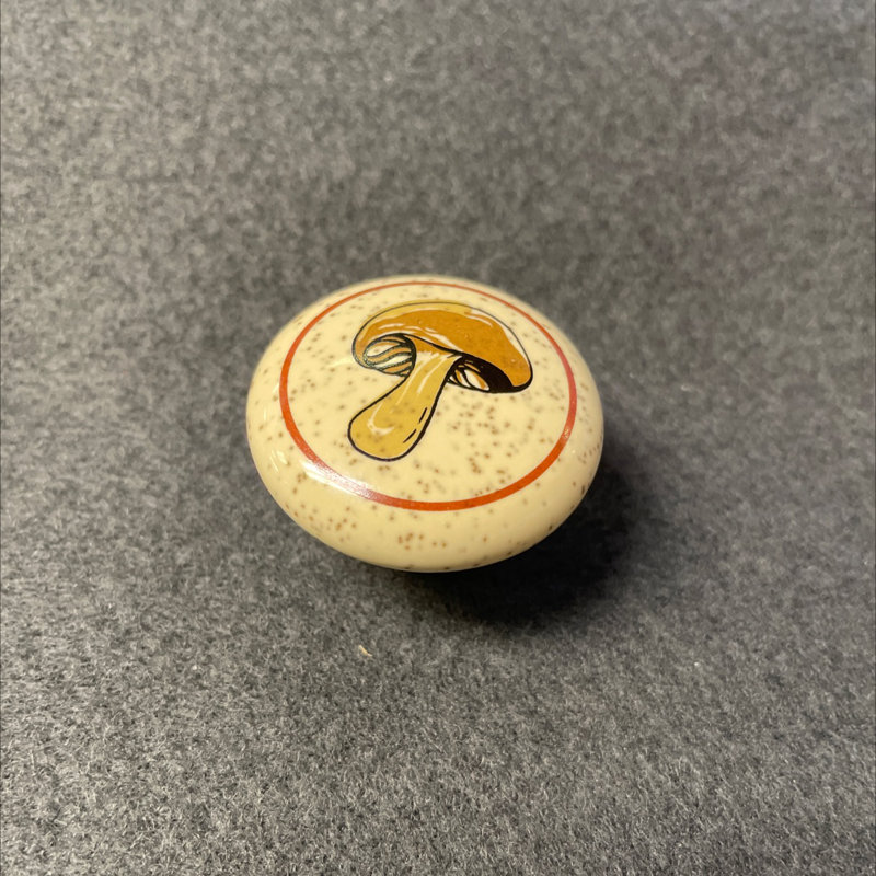 (Paquet de 5) Bouton de 1/2 po avec décalque de champignon