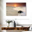 Tortue Brampt sur le rivage-107689342