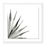 Agave II Print by Jess Engle