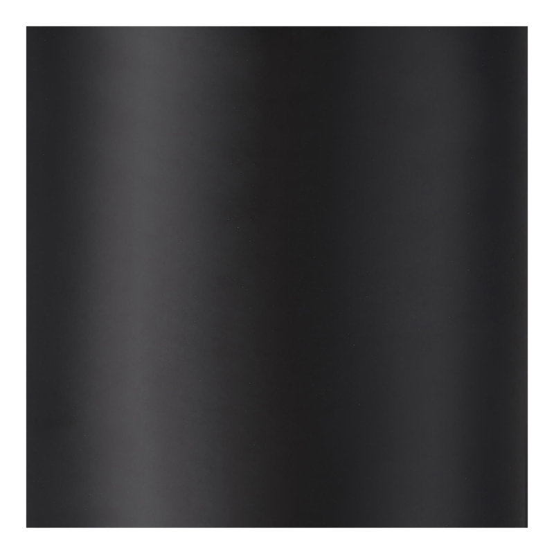 Black 12-Hook Coat Rack