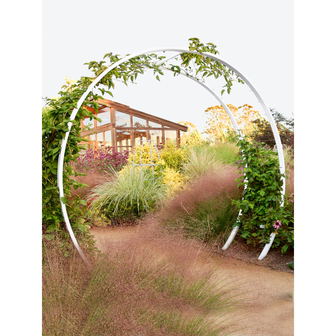 Gracie 30'' D Arbor TerraTrellis 