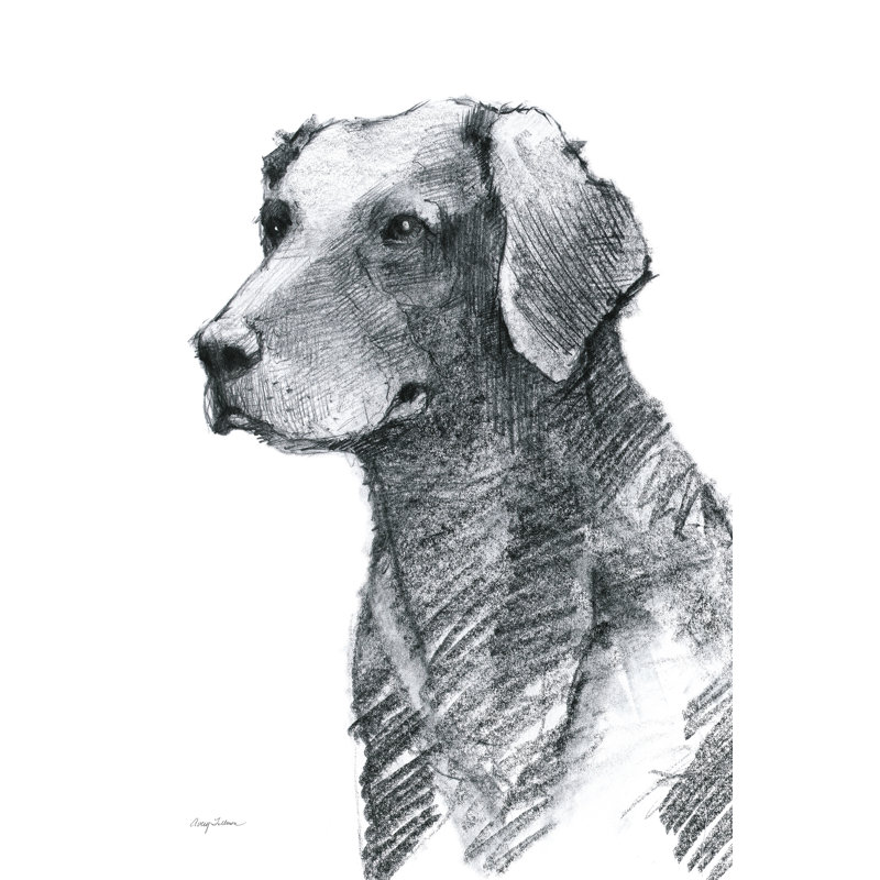 Hans Sitting Pretty by Avery Tillmon - Wrapped Canvas Print, 30cm H x 20cm W