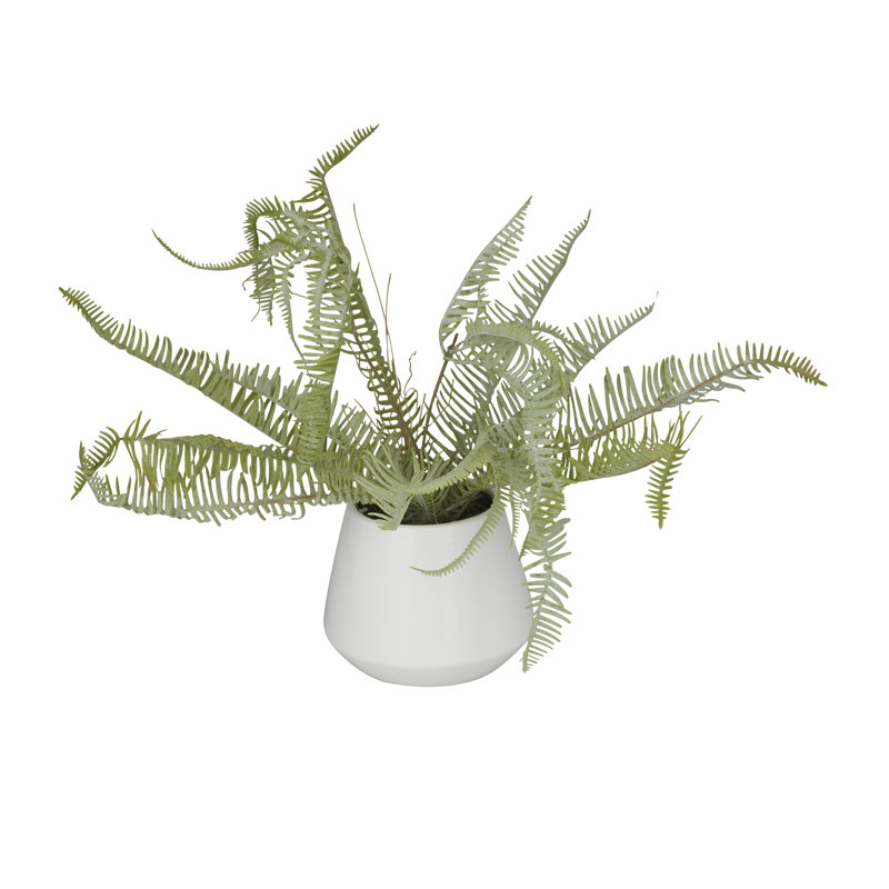 13.5'' Faux Fern Plant in Ceramic Vase
