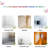 Insects Wall Decal-704444239