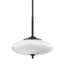 Fallon 2 - Light Pendant-585551791