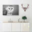 Barn Owl in Abstract - Wrapped Canvas-55315531