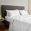 City Sateen Fitted Sheet-226141811-226141822