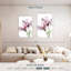 Harnek Splendid Beauty-108530050