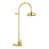 Supercoat Brass sélectionné