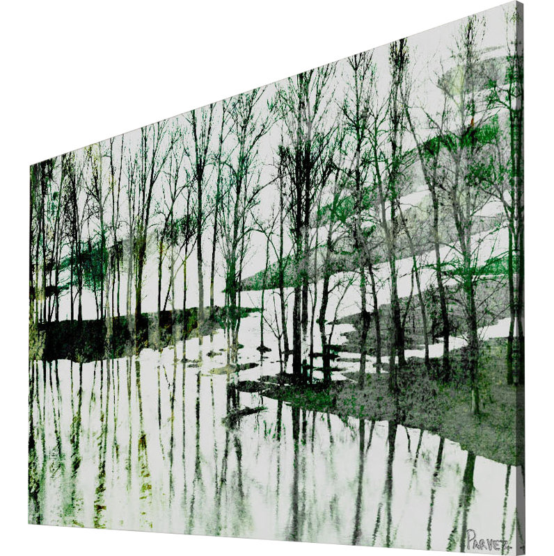 Parvez Taj - Wrapped Canvas Print, 30cm H x 45cm W
