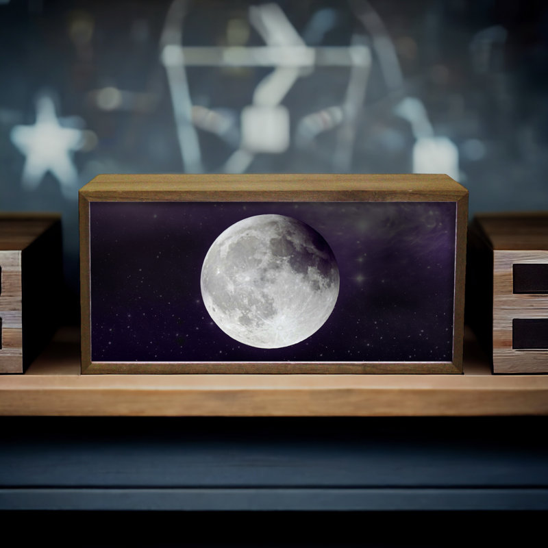 Saffian Night Light Moon 15" LED Sign