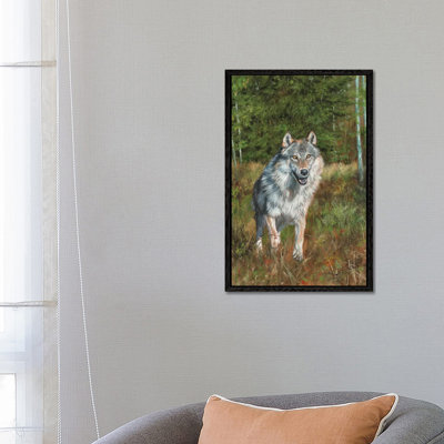 Wolf Running by David Stribbling - Floater Frame Gallery-Wrapped Canvas Giclée on Canvas