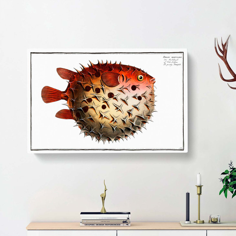Prickly Blowfish by M.E. Bloch - Wrapped Canvas, 40cm H x 60cm W x 3cm D
