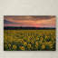 Cliffton «Sunflower Taps», reproduction de photo sur toile tendue-19583078