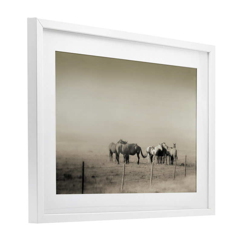 «The Herd», reproduction encadrée sous verre, par Roberta Murray, H 14 po x l 20 po, Cadre blanc côtier
