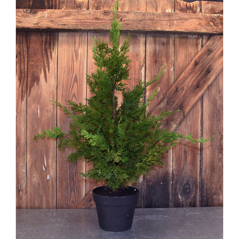 Arbre de cypress artificiel en pot de fleurs