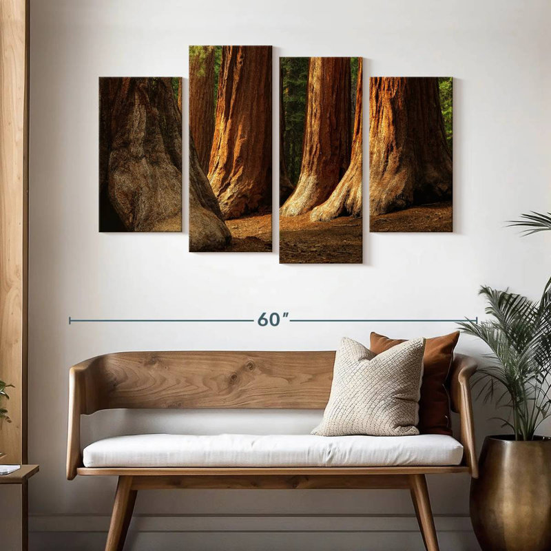 Harnek Ancient Sequoia Trees