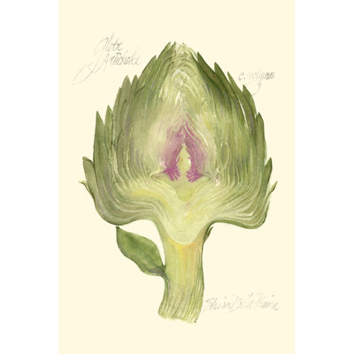 Globe Artichoke by Elissa Della-Piana - Wrapped Canvas Print