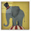 «Circus Elephant» par Ryan Fowler-1562497117