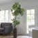 Panama 46.25'' Faux Pachira Aquat Tree in Planter