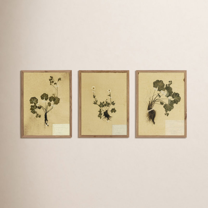 Petite Study Triptych Painting by Hannah Winters, 24" H x 72" W